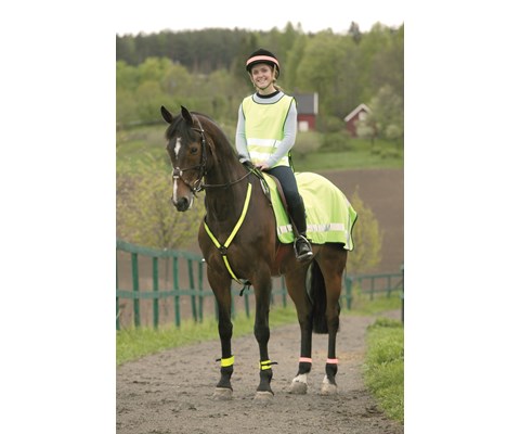 Beinrefleks foret med spenne 2 stk