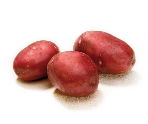 Settepotet Pimpernel  5 kg