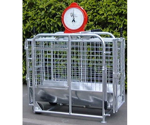 Reserveklokke for lammevekt 100 kg