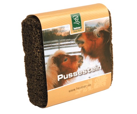 Pussestein