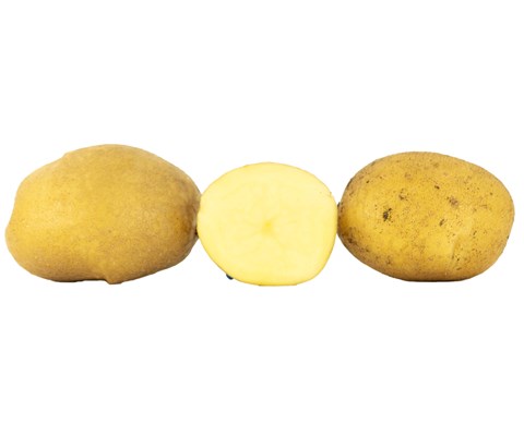 Settepotet Van Gogh 5 kg