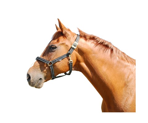 Grime med refleks cob svart