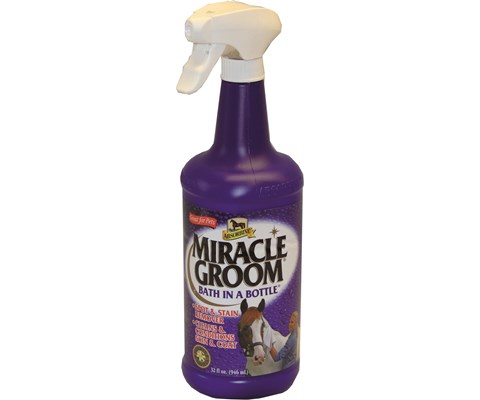 Tørrshampoo Miracle Groom 946 ml