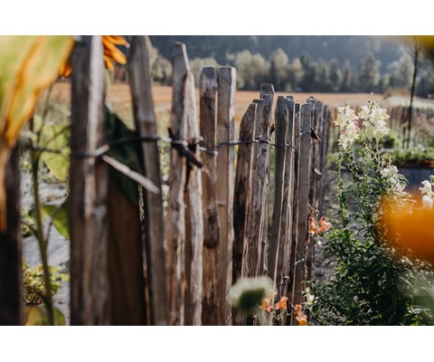 Gjerdestolpe kastanje 1,8 m