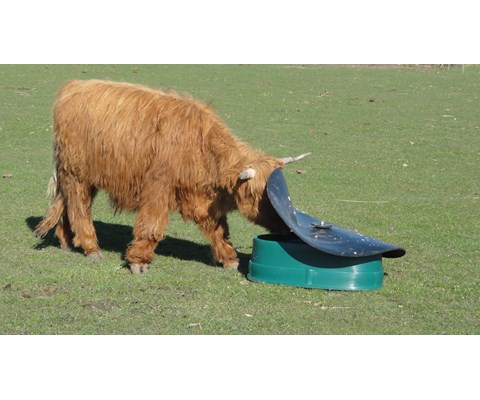 BasisFeeder Mineralfôr automat