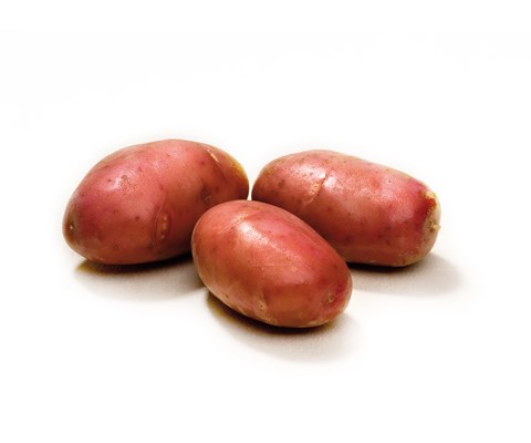 Settepotet Asterix 5 kg