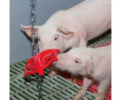 Leketøy til smågris