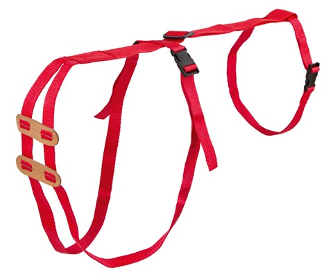 Fremfallsele for sau