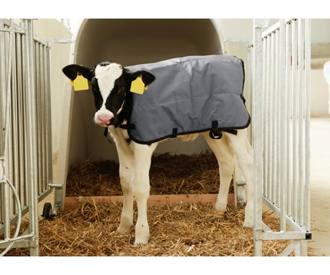 Kalvedekken "Rift-stopp" 80 cm