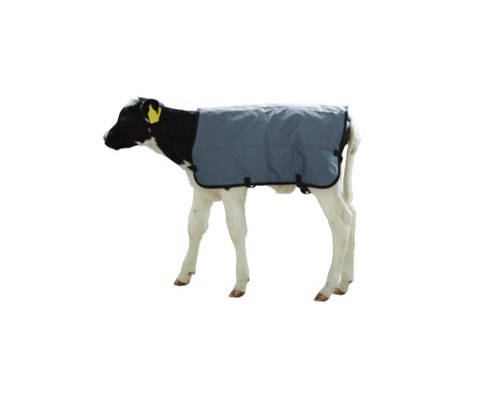 Kalvedekken "Rift-stopp" 80 cm