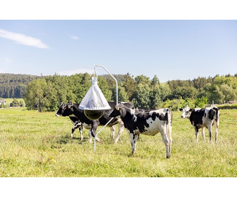 Insektsfelle Tanox for klegg