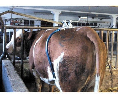 Sparkebøyle Kick Stop