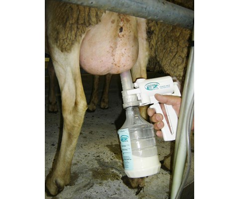 Reservepumpe til melkepumpe