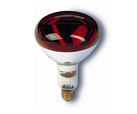 Varmepære 250W 10 stk