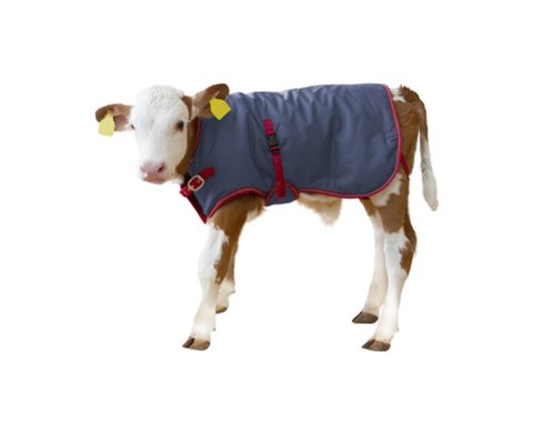 Kalvedekken ThermoPlus