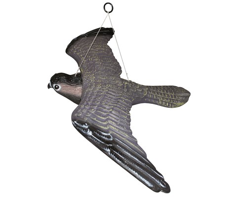 Fugleskremsel Rovfugl drage 54 cm