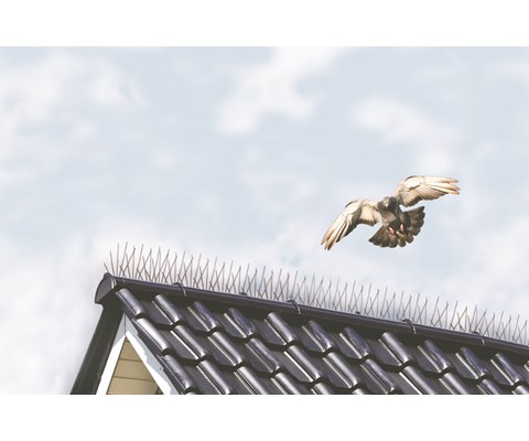 Fuglepigger til tak 2,5 meter