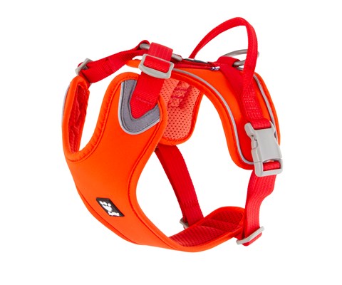 Hundesele Weekend Warrior Eco orange