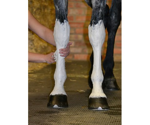 Swede kjøleleire 2 kg