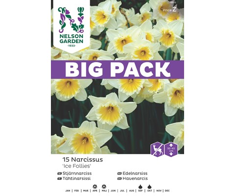 Høstløk edelnarsiss Ice Follies