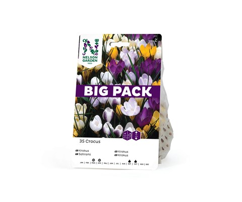 Høstløk vårkrokus blandede