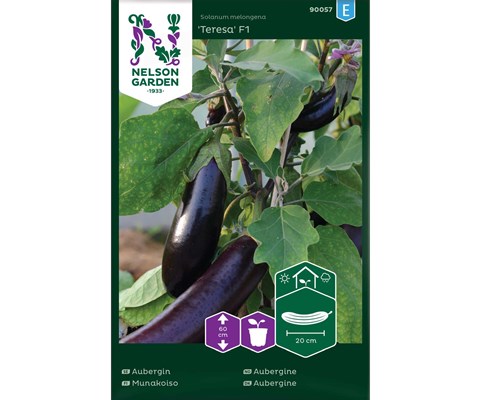 Frø aubergine Teresa