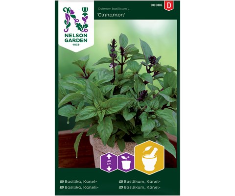 Frø kanelbasilikum Cinnamon