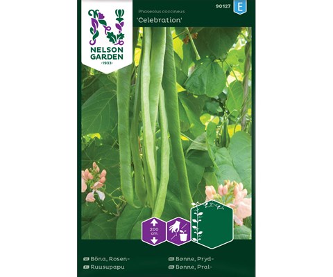 Frø prydbønne Celebration