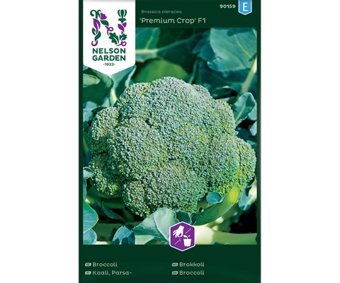 Frø brokkoli Premium Crop