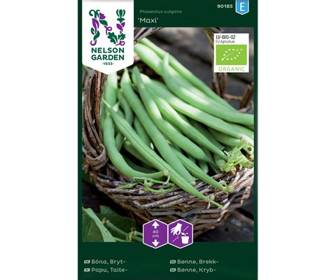 Frø brekkbønne Maxi