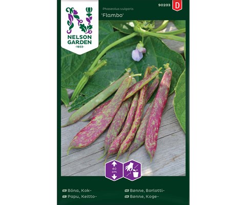 Frø borlottibønne Flambo