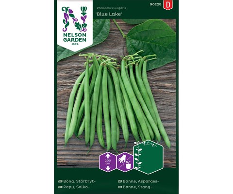 Frø aspargesbønne Blue Lake