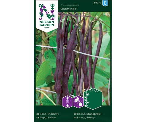 Frø stangbrekkbønne Carminat