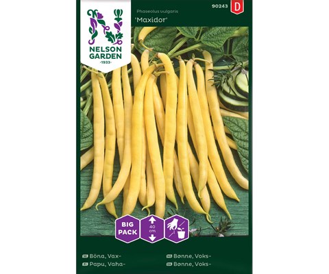Frø voksbønne Maxidor Big Pack