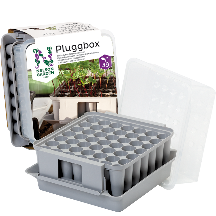 Minidrivhus pluggbox