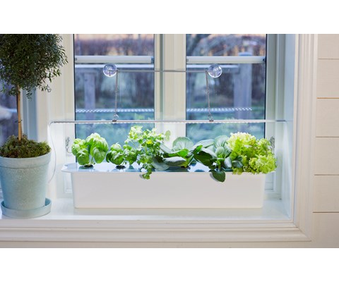 Harvy hydroponisk startpakke 6