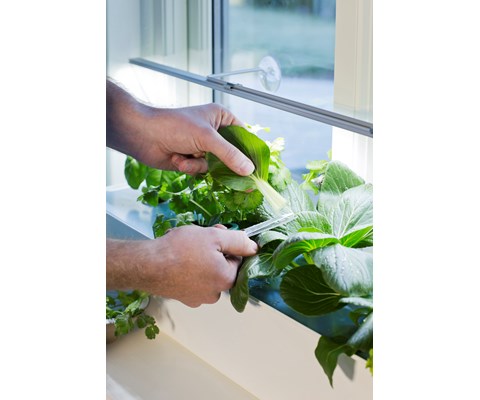 Harvy hydroponisk startpakke 6