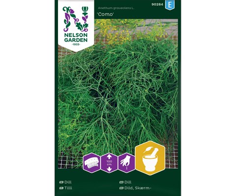 Frø dill Como såbånd