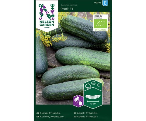 Frø frilandsagurk Profi økologisk