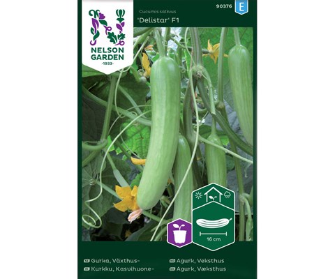 Frø slangeagurk Delistar
