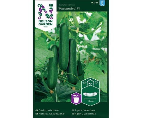 Frø slangeagurk Passandra