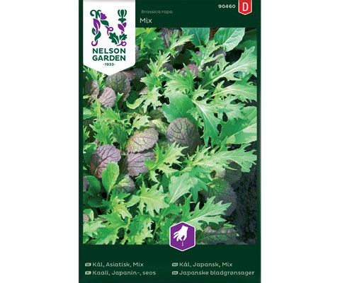 Frø japansk bladgrønnsak Mix