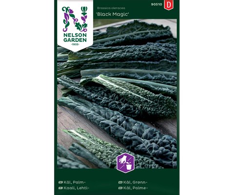 Frø grønnkål Black Magic
