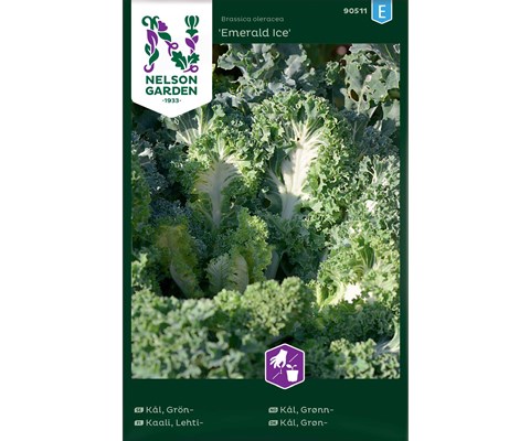 Frø grønnkål Emerald Ice