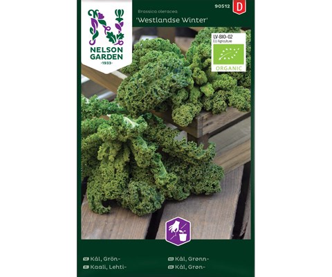 Frø grønnkål Westlandse Winter økologisk