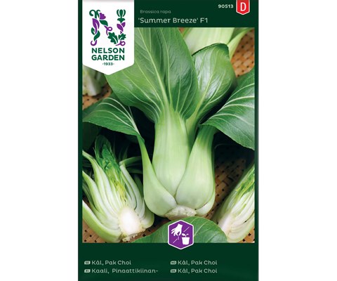 Frø Pak Choi kål Summer Breeze
