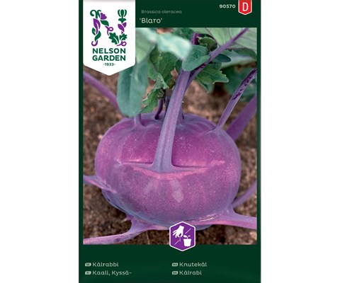 Frø knutekål Blaro