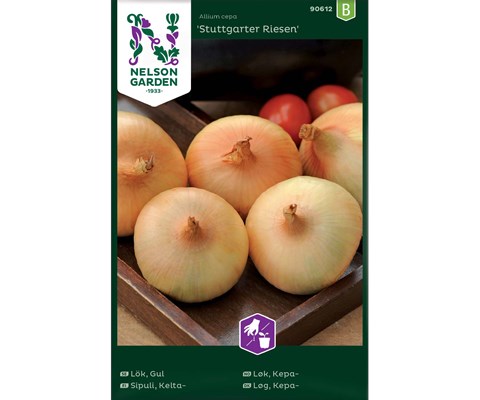 Frø kepaløk Stuttgarter Riesen