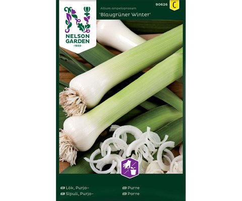 Frø purre Blaugrüner Winter