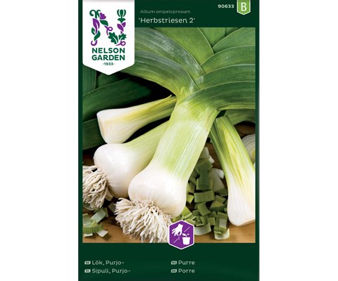 Frø purre Herbstriesen